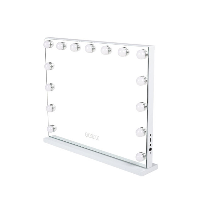Tatiana Iron Rectangle Floor Mirror