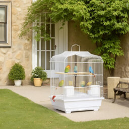 Small Bird Cage, Parrot Cage with Perches, Food Bowls, Swing & Removable Tray, White Wire Bird Travel Box for Home, Outing for Small Medium Birds Budg