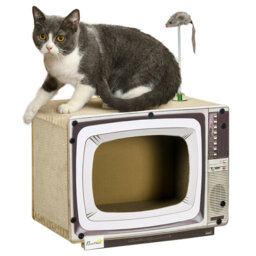 82.55cm H Cat Tree