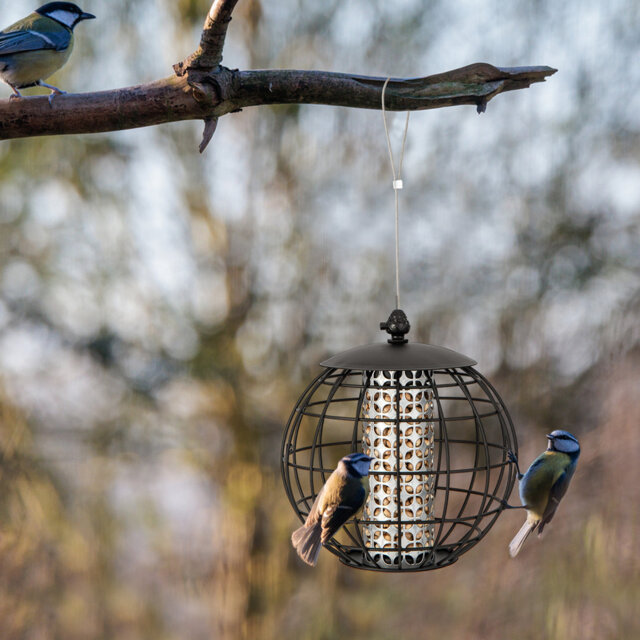 Squirrel-Proof Bird Outdoor Hanging Feeder Caged Seed Metal Wild Bird Feeder