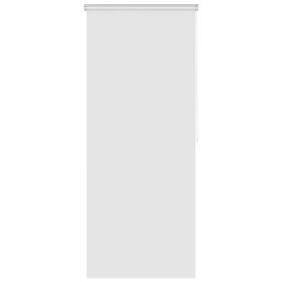 Room Darkening Roll-Up Shade
