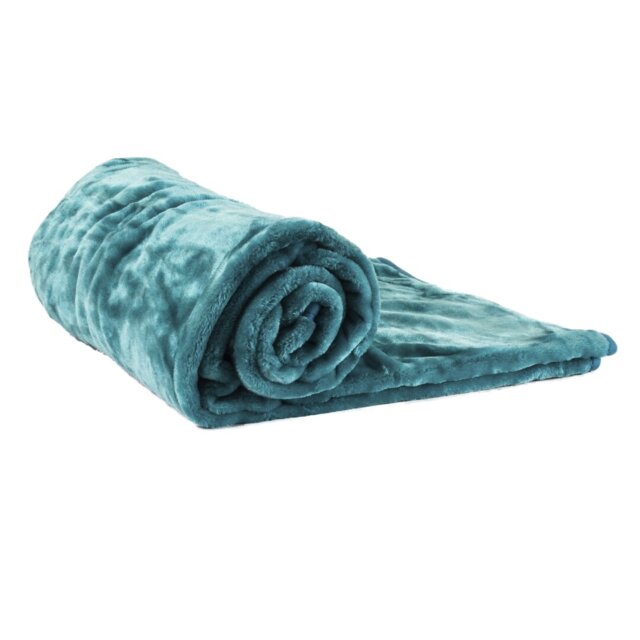 Plain Weave / Muslin Throw Blanket
