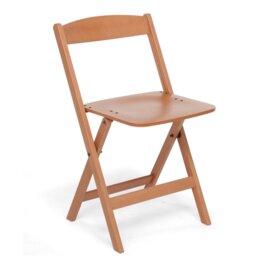 Riggs Folding Garden Chair