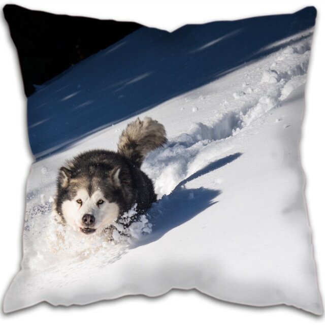 Alaska Square Cushion
