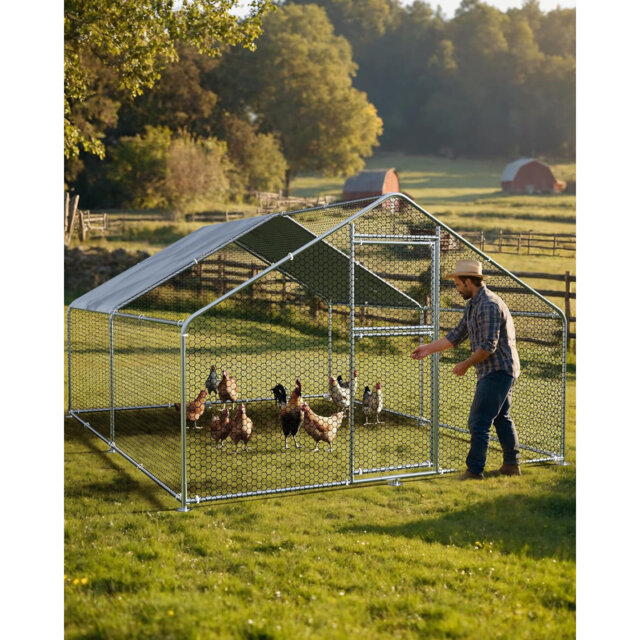 Chicken Coop