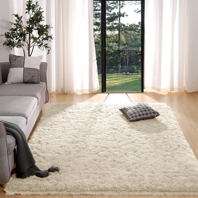 Adelah Soft & Fluffy Indoor / Outdoor Living Room Area Rug