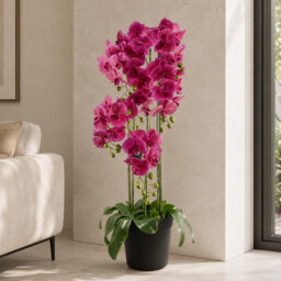 Real Touch Artificial Orchids Plastic, Silk Artificial Arrangement in Planter