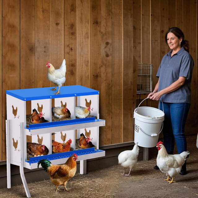 Chicken Nesting Box, 6 Compartment Galvanized Steel Chicken Laying Boxes, Nesting Boxes for Chickens, Easy Egg Collection for Chicken Coop, Backyard,