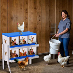 Chicken Nesting Box, 6 Compartment Galvanized Steel Chicken Laying Boxes, Nesting Boxes for Chickens, Easy Egg Collection for Chicken Coop, Backyard,