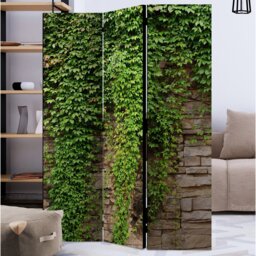 Hoya 172cm H Solid Wood Folding Room Divider