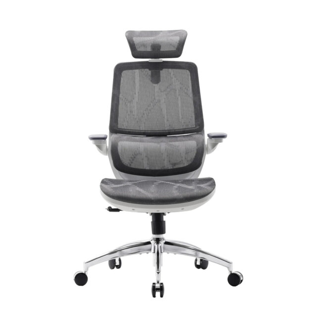 Mesh Office Chair, with Adjustable 3D Folding armrests, Dual-back Design