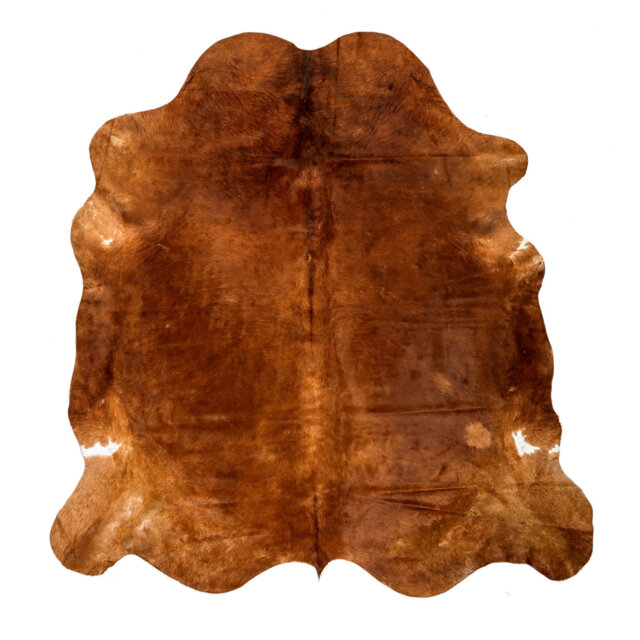 "Raunds One-of-a-Kind 5'4"" x 6'6"" Area Rug in Tan"