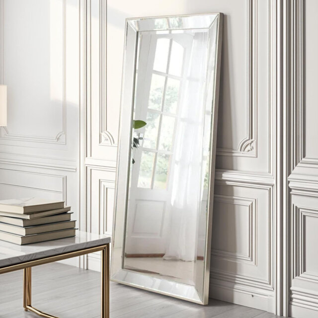Aubervilliers Plastic Framed Leaning Full Length Mirror in Champagne