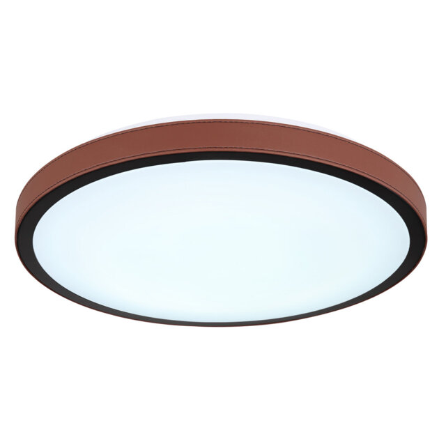 Eamor Flush Ceiling Light
