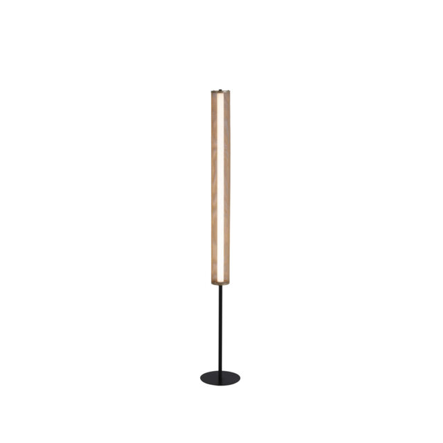 Daouia LED Floor Lamp, Gold Mesh and Matt Black Metal