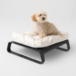Coaling Orthopedic Cotton Elevated Pet Bed