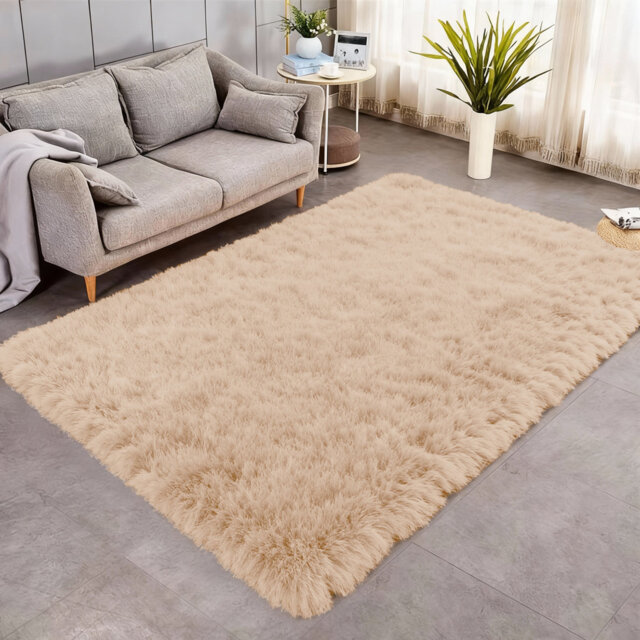 Indoor / Outdoor Living Room Area Rug