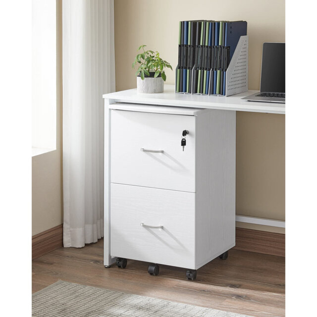 Chandrine 45cm Wide 2 -Drawer File Cabinet