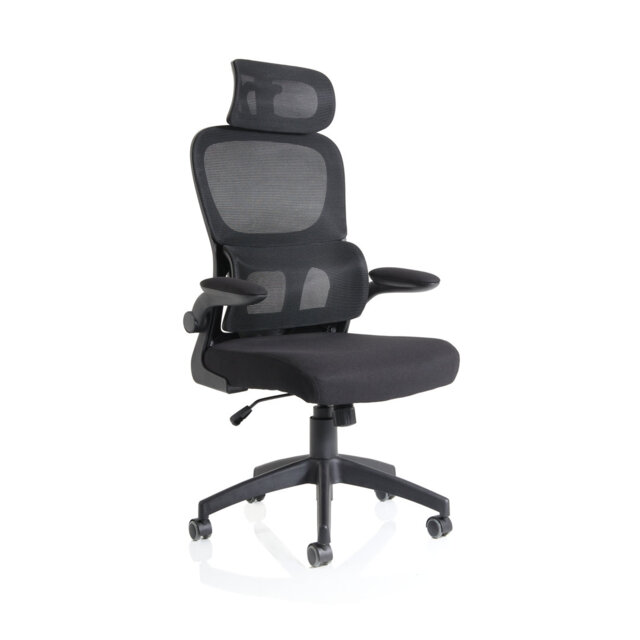 Aldarcy Polyester Blend Task Chair with Headrest