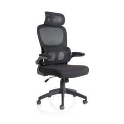 Aldarcy Polyester Blend Task Chair with Headrest