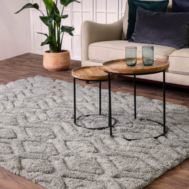 Peck Shaggy Silver Rug