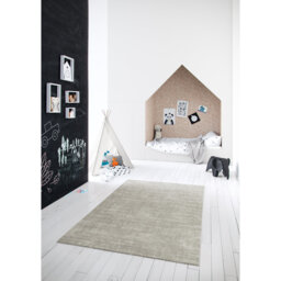Richmondville Shaggy Grey Rug