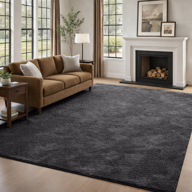 Soft Touch Fluffy Area Rug for Living Room & Bedroom