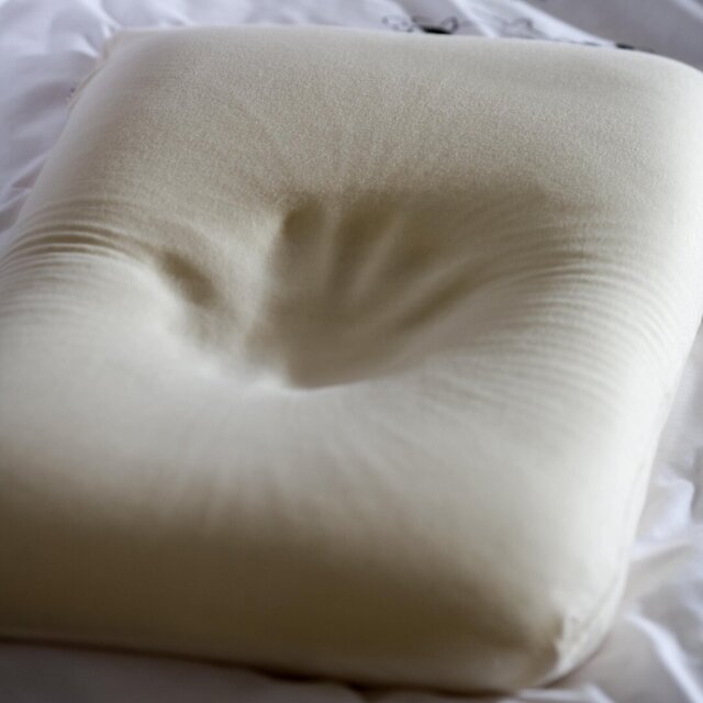 100% Cotton Jersey Range 100% Cotton Housewife Pillow Case