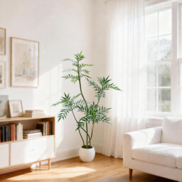 25cm Plant