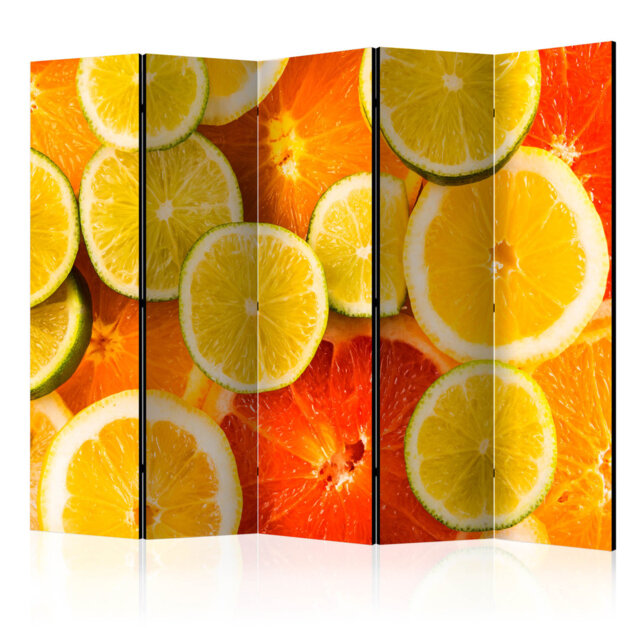 Room Divider - Citrus Fruits II [Room Dividers]