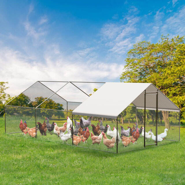 12m² Chicken Coop