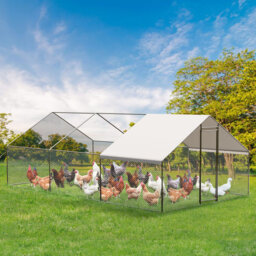 12m² Chicken Coop