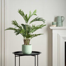 70cm Faux Real Touch Areca Palm