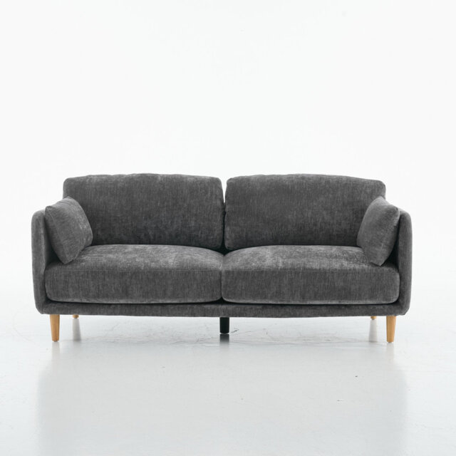 Luxury Mid Century Modern Sofa Couch Set for Living Room