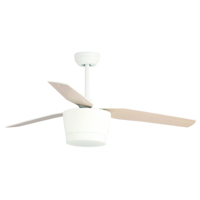 Roxanna Ceiling Fan with LED Lights