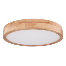 Perdomo Plastic LED Flush Mount