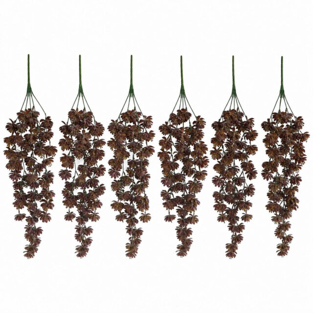 Hanging Plants X6 70cm Plant
