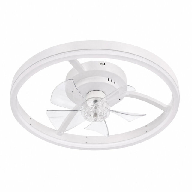 Ceiling Fan