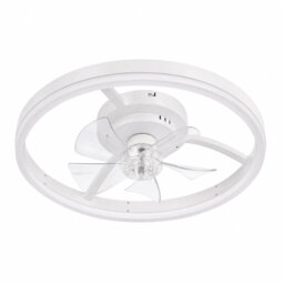 Ceiling Fan