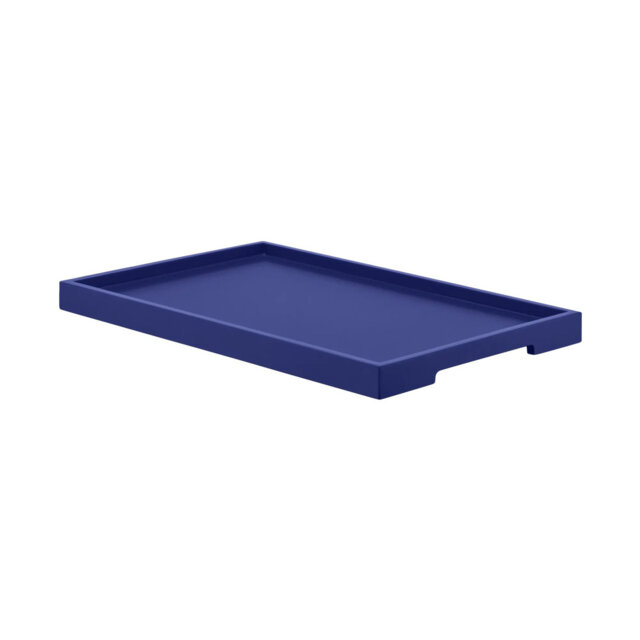 Tray