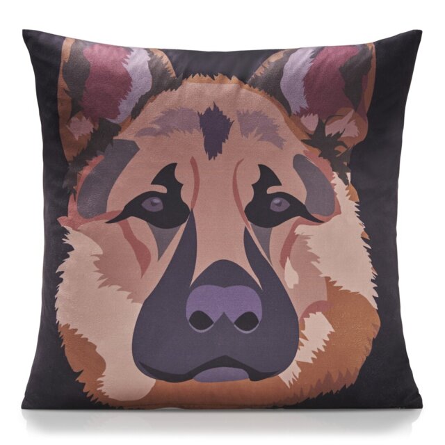 Ditoro Multicoloured Square Cushion
