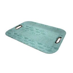 Nicolet Tray