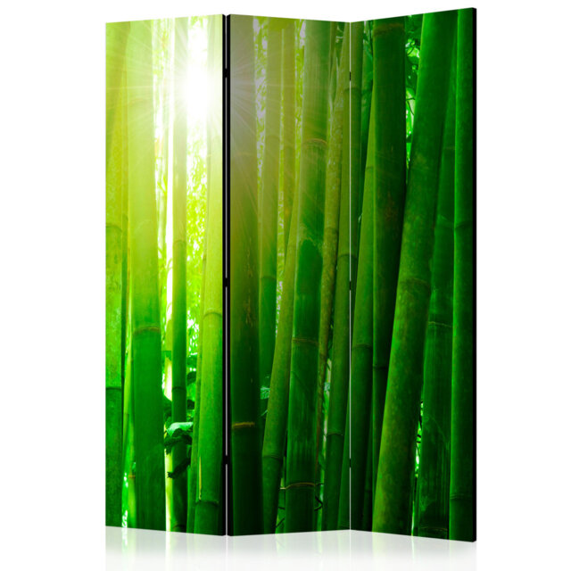 Room Divider - Sun And Bamboo [Room Dividers]