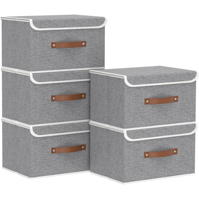 Storage Boxes With Lids 5 Pack, Collapsible Storage Bin With Handle, For Organizing Clothes, 38X25x25cm, White, SNK018WL-5