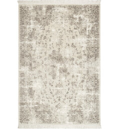 Oriental Area Rug