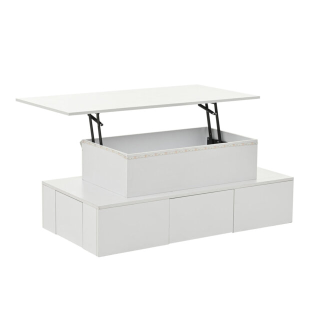 Lift Top Frame Coffee Table with Storage