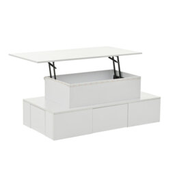 Lift Top Frame Coffee Table with Storage