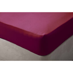 Brushed Cotton Range Flannel Fitted Sheet