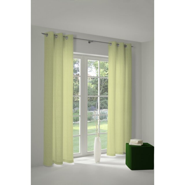 Salguero Eyelet Opaque Single Curtain