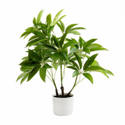 60cm Faux Real Touch Schefflera / Umbrella Plant in White Pot